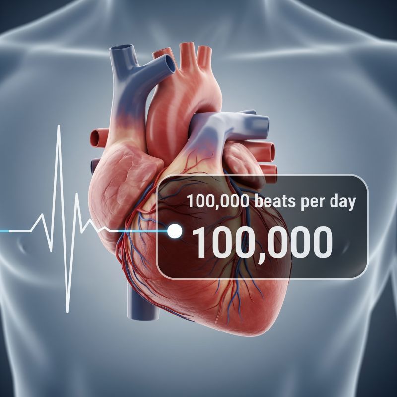 5-cose-che-non-sai-sul-tuo-corpo