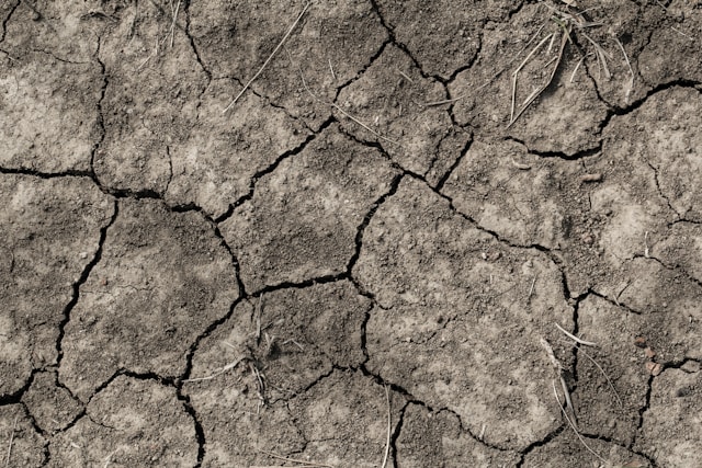 i-5-giorni-pi-fortunati-per-ogni-segno-zodiacale